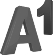 A1